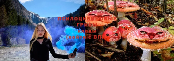 каннабис Аркадак