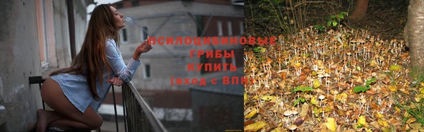 СК Арсеньев