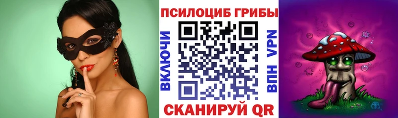 Псилоцибиновые грибы Psilocybe  площадка официальный сайт  Сарапул 